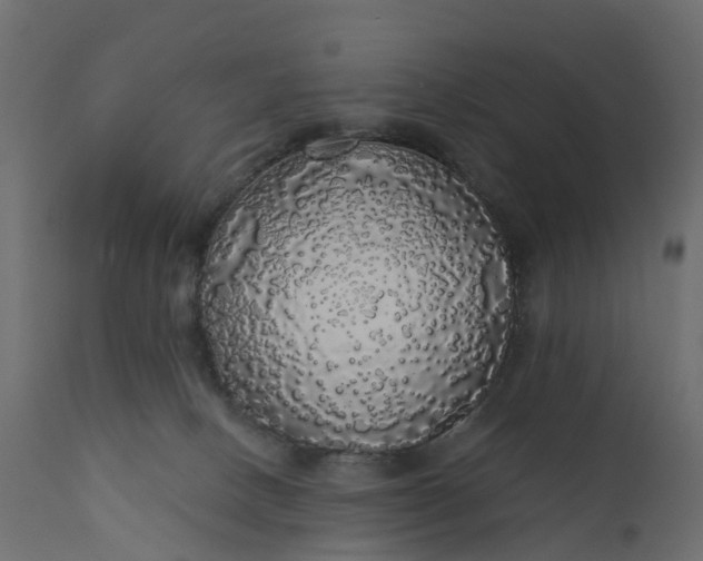 X0000110700082200906261418