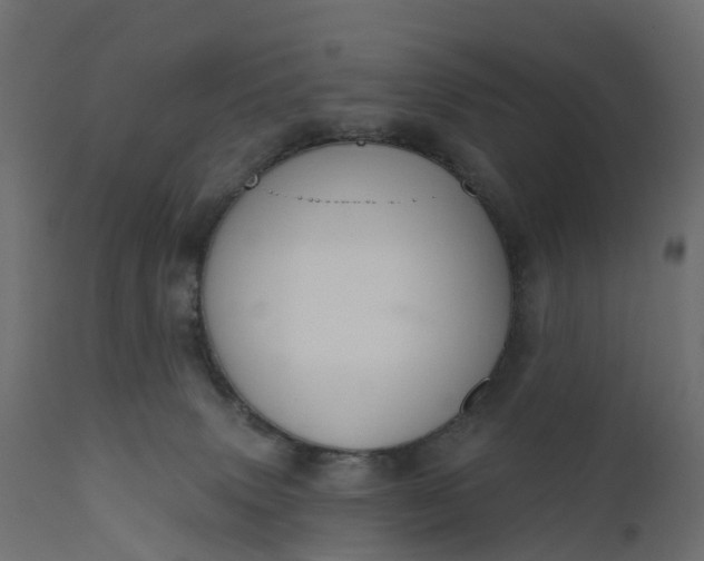 X0000110700083200906261418