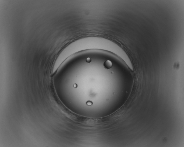 X0000110700084200906261418