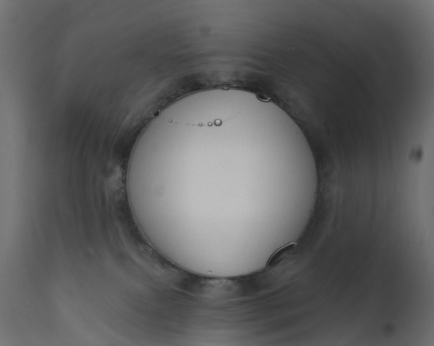 X0000110700087200906261418