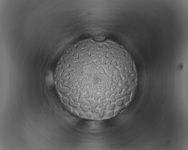 X0000110700089200906261418