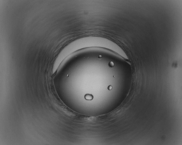 X0000110700092200906261418