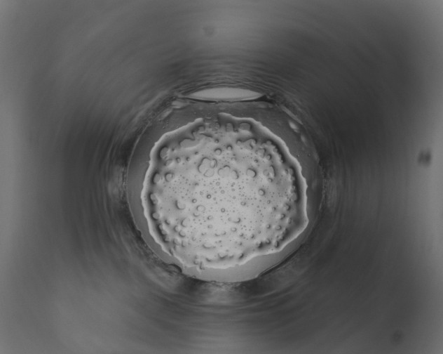 X0000110700093200906261418