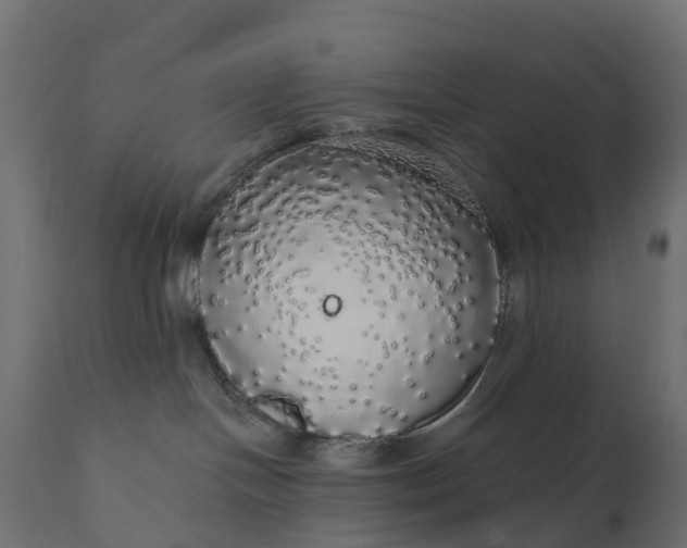 X0000110700094200906261418