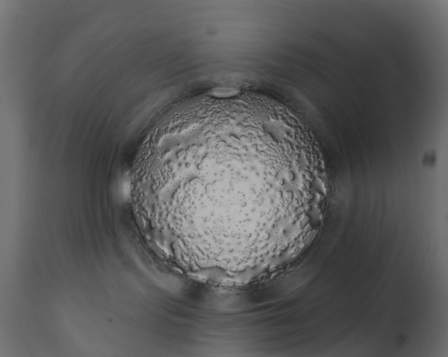 X0000110700095200906261418