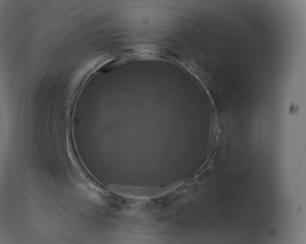 X0000110700097200906261417