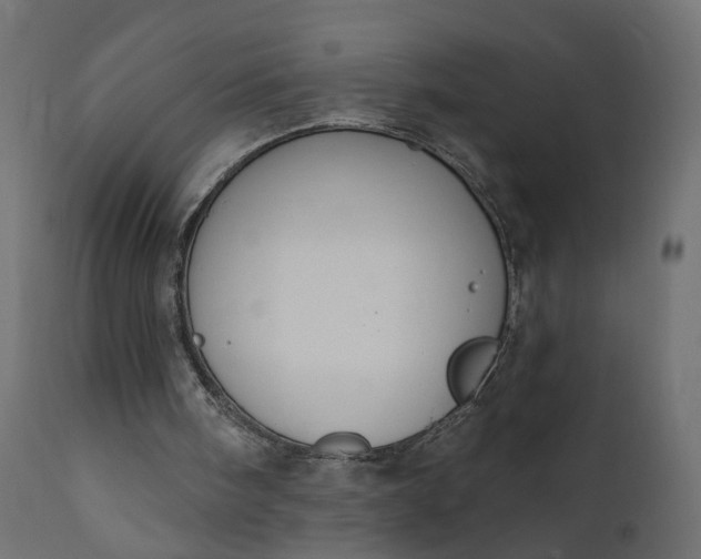 X0000110700098200906261417