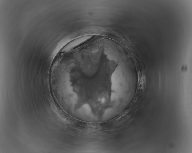 X0000110700099200906261417