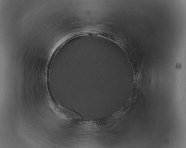 X0000110700100200906261417