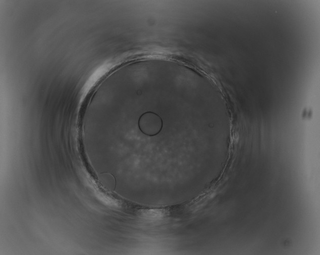 X0000110700102200906261417