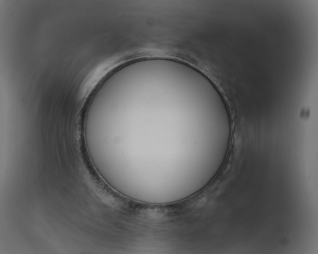 X0000110700103200906261417