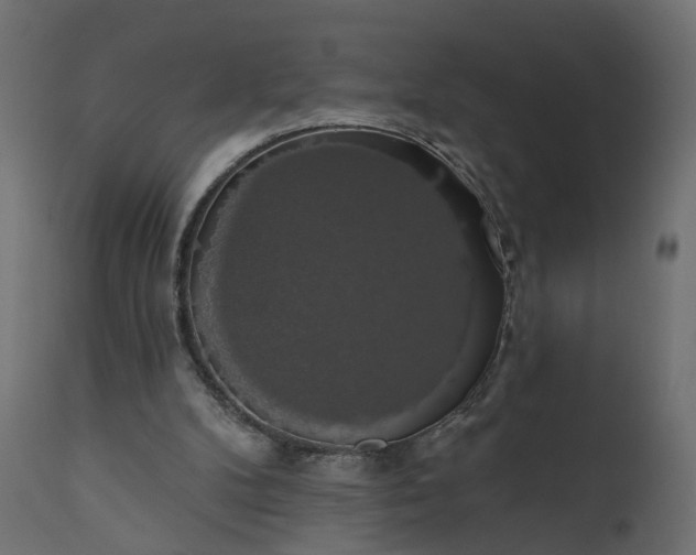 X0000110700104200906261417