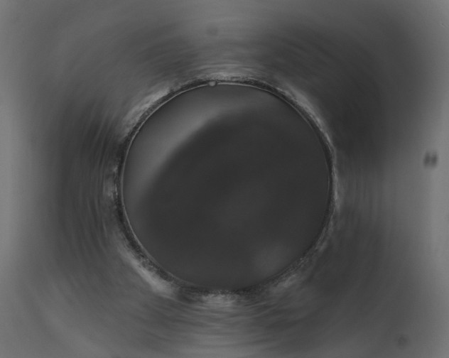 X0000110700105200906261417