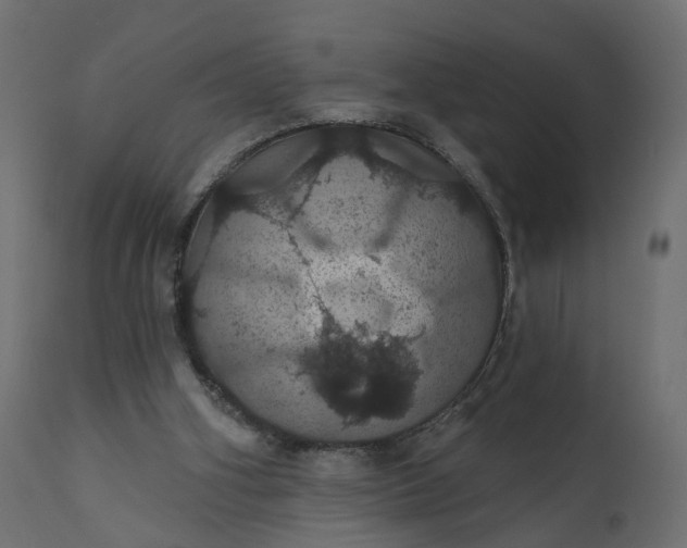 X0000110700106200906261417