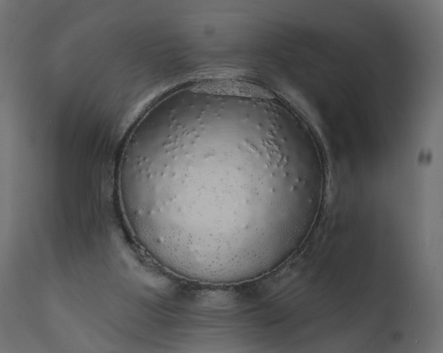 X0000110700107200906261417