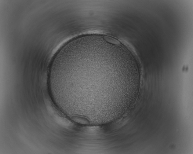 X0000110700108200906261417