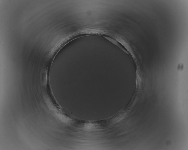 X0000110700109200906261417