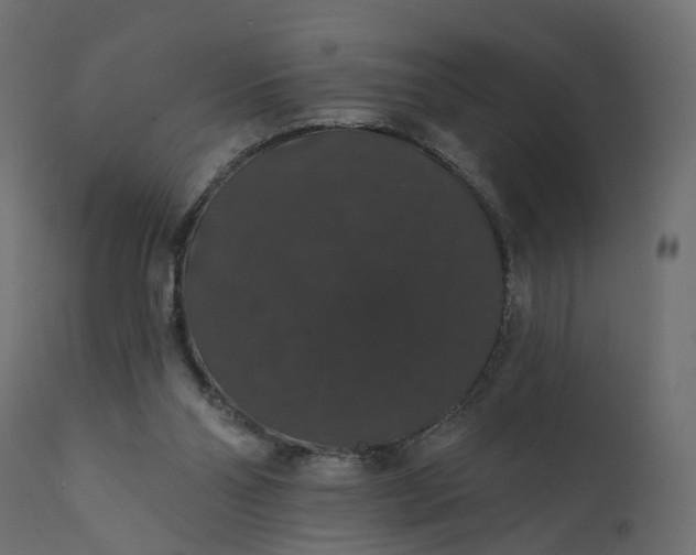 X0000110700110200906261417