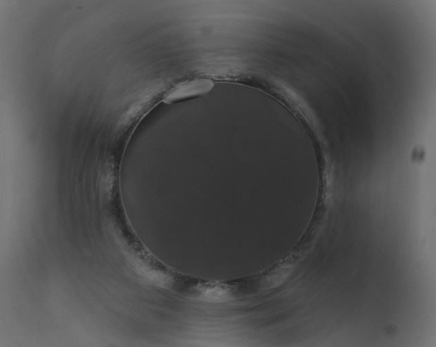 X0000110700113200906261417