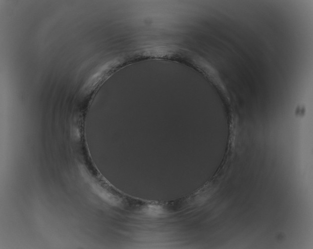 X0000110700114200906261417