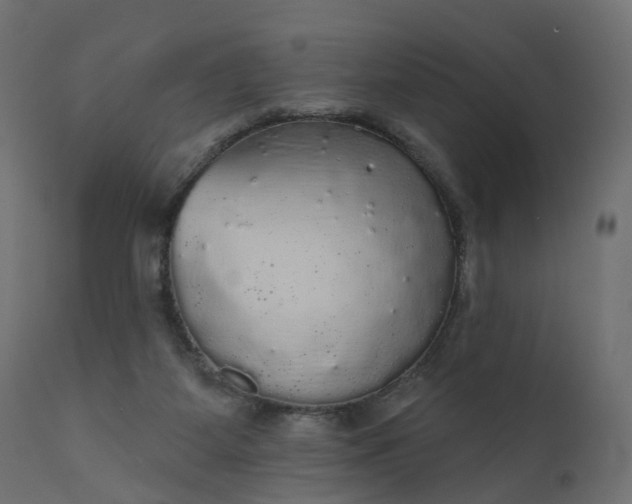 X0000110700115200906261417