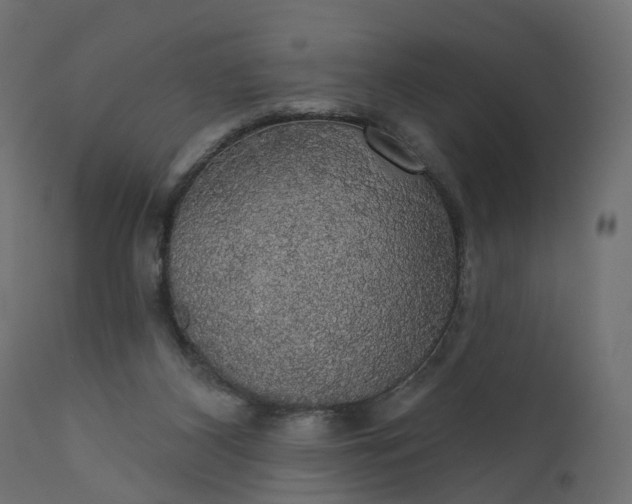 X0000110700116200906261417