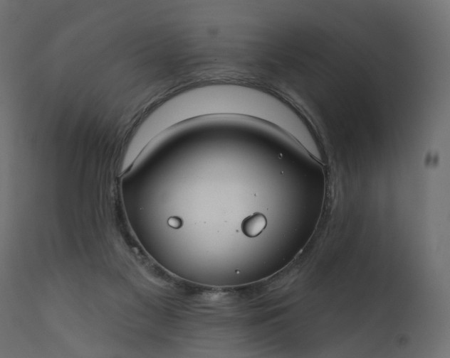 X0000110700117200906261417