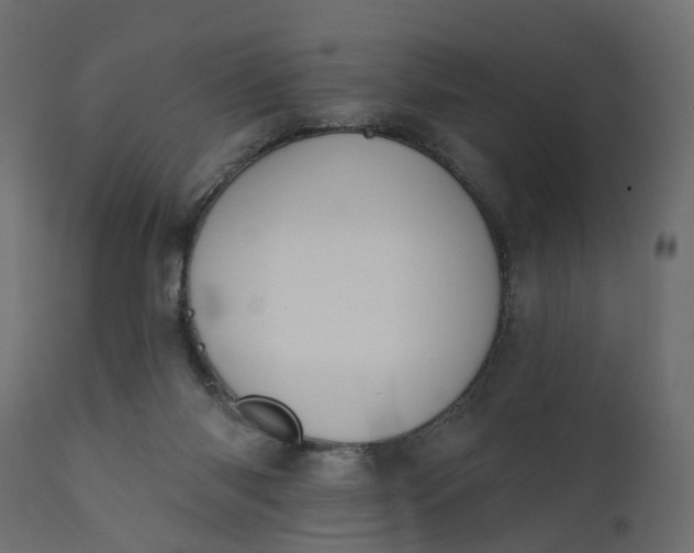 X0000110700118200906261417