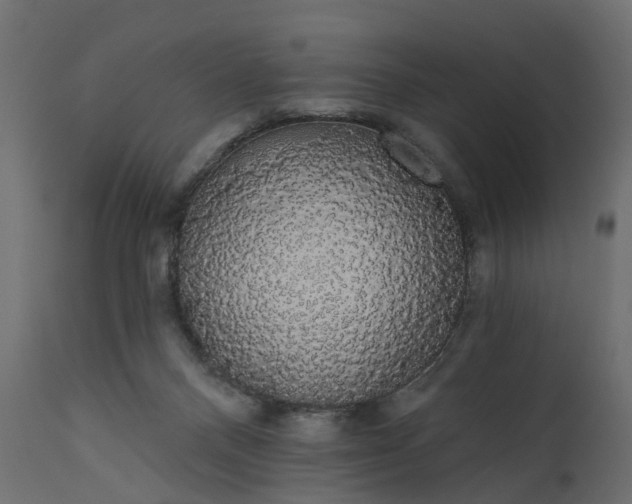 X0000110700120200906261417