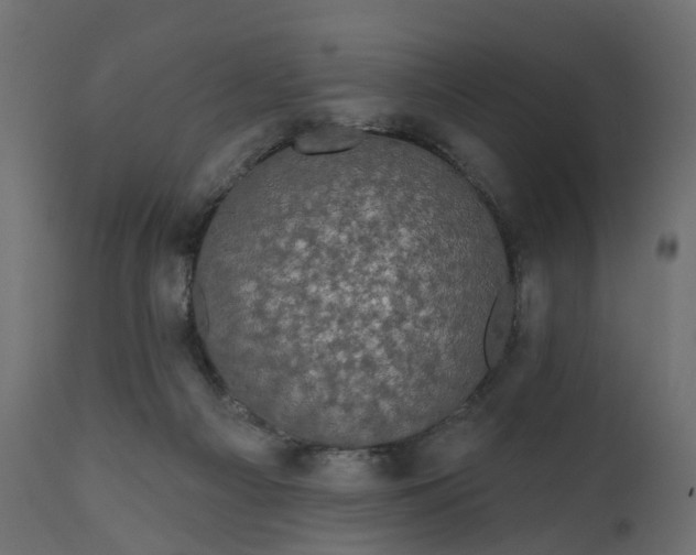 X0000110700121200906261417