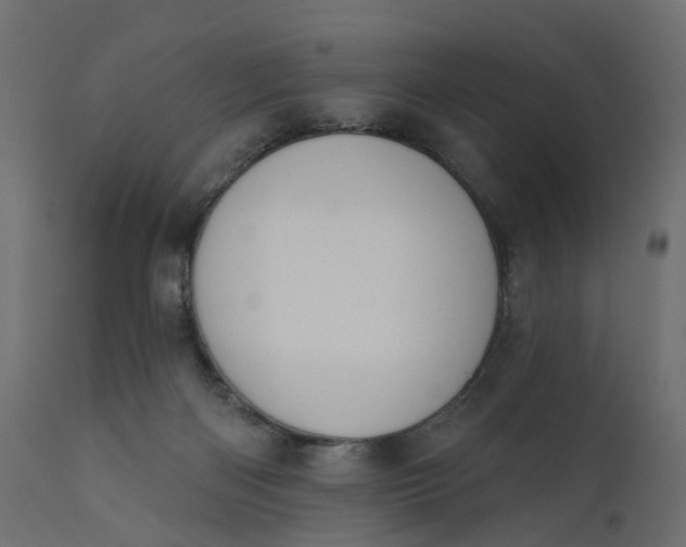 X0000110700122200906261417