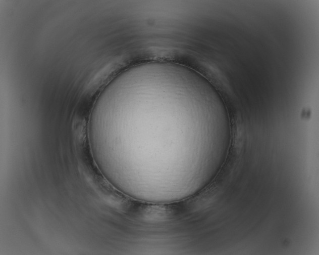 X0000110700123200906261417