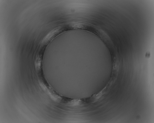 X0000110700124200906261417