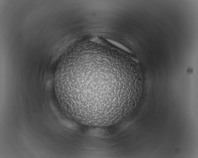 X0000110700125200906261417