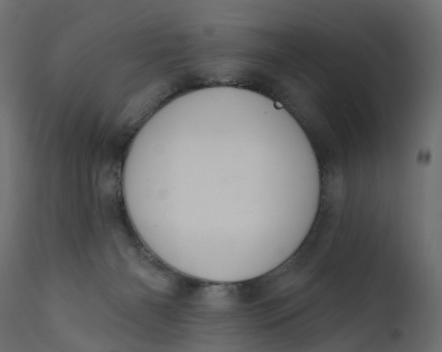 X0000110700126200906261417