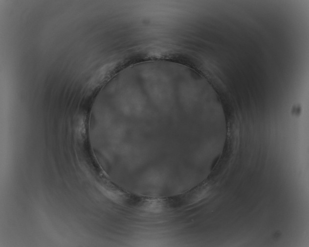 X0000110700127200906261417