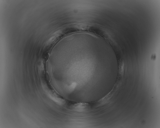 X0000110700128200906261417