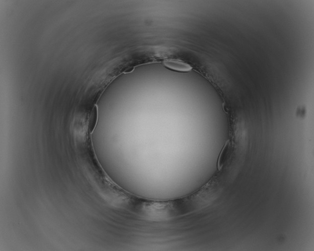 X0000110700129200906261417