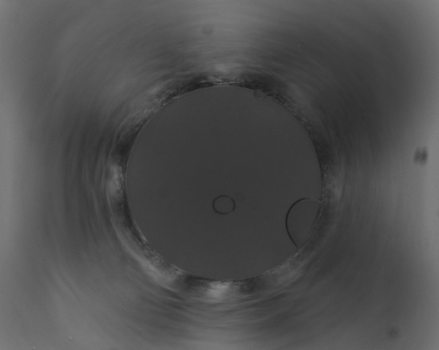 X0000110700130200906261417