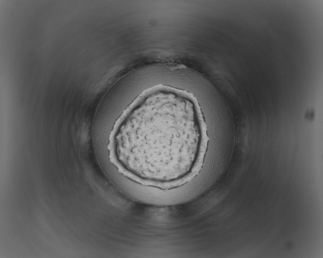 X0000110700131200906261417