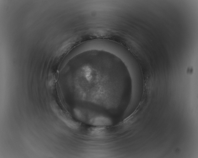 X0000110700132200906261417