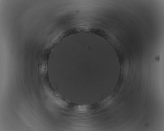 X0000110700134200906261417