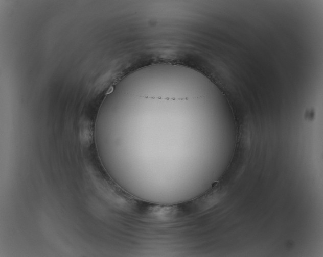 X0000110700135200906261417