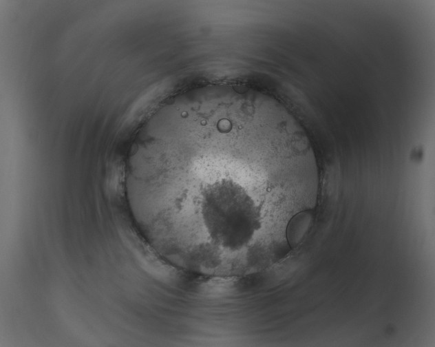 X0000110700138200906261417