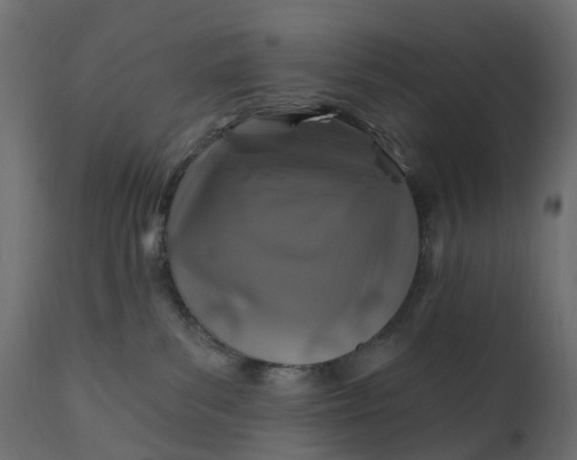 X0000110700139200906261417