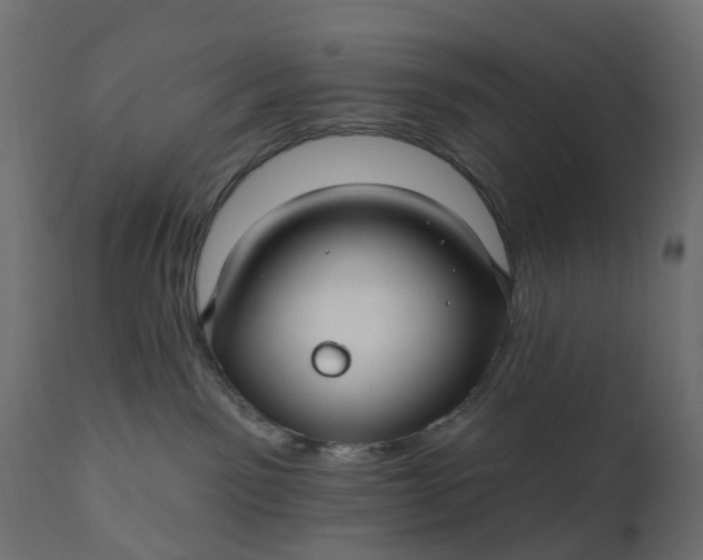 X0000110700141200906261416