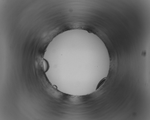 X0000110700142200906261416