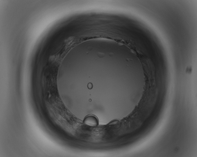 X0000110700143200906261416