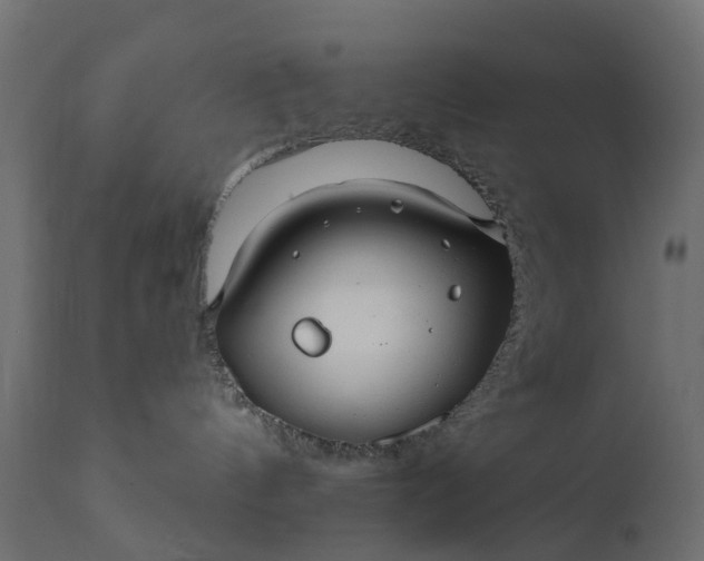 X0000110700144200906261416