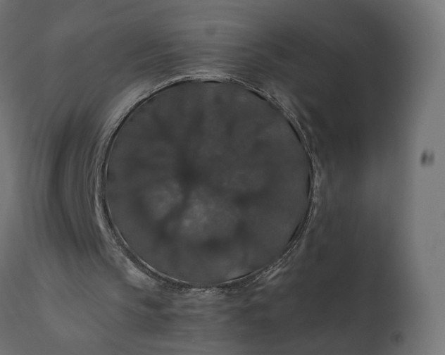 X0000110700145200906261416